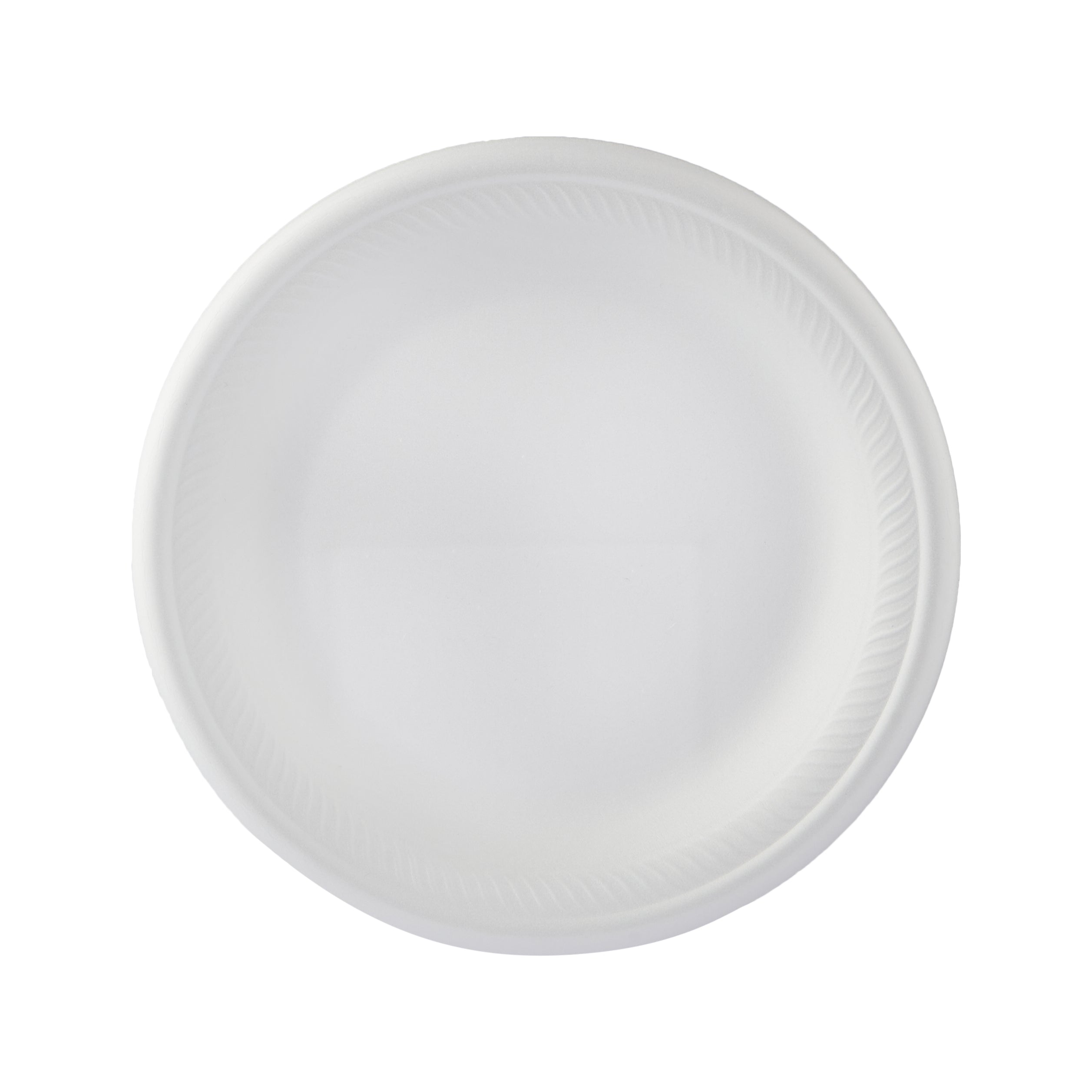 10" White Foam Plates — 500/Case